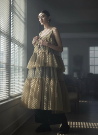 Tiered Tulle Overlay Dress