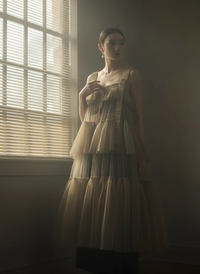 Tiered Tulle Overlay Dress